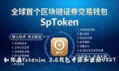如何在Tokenim 2.0钱包中添加波场USDT