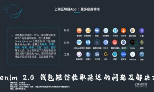 Tokenim 2.0 钱包短信收取延迟的问题及解决方案