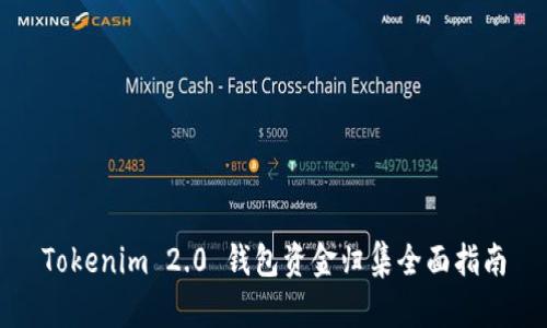 Tokenim 2.0 钱包资金归集全面指南