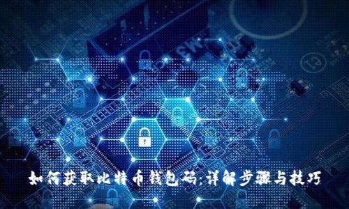 如何获取比特币钱包码：详解步骤与技巧