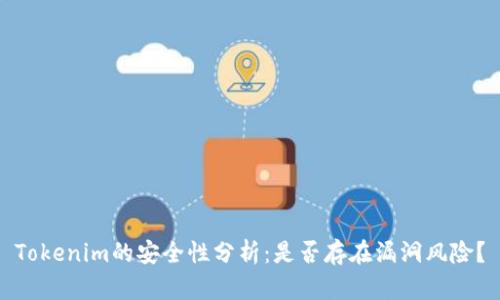 Tokenim的安全性分析：是否存在漏洞风险？