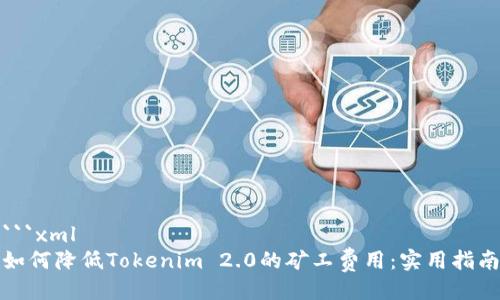 ```xml
如何降低Tokenim 2.0的矿工费用：实用指南