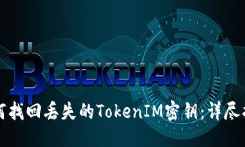 如何找回丢失的TokenIM密钥：详尽指南